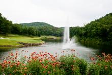 Homes for sale in Branson mo by owner